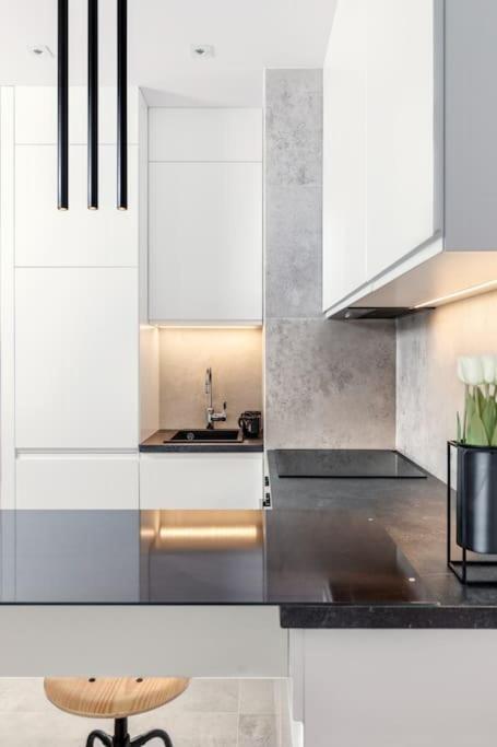 Deluxe Apartment In City Center, Steam Park Krakkó Kültér fotó